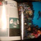 Jack Jackson  SCUBA DIVING   ( 2000 ) Sis.pk:t - pikkukuva 3