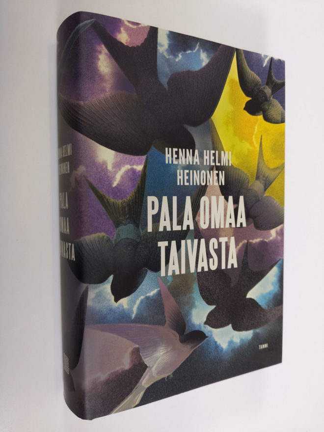 Henna Helmi Heinonen : Pala omaa taivasta