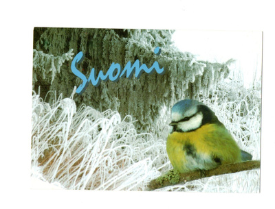 °°SINITIAINEN Talvimaisemassa°° -KORTTI /(Suomi)