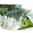 °°SINITIAINEN & TALVIMAISEMA°° -KORTTI /(Kulkematon) - pikkukuva 1