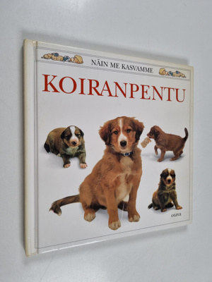 Jane Burton : Koiranpentu