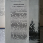 Valdemar Paavilainen - Ratsuväki hyökkää (sid.) - pikkukuva 2