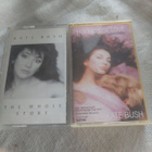 KATE BUSH - pikkukuva 1