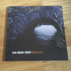 Ismo Alanko Säätiö – Hallanvaara 2LP (UUSI, Rolling Records) - pikkukuva 1