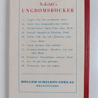 Ragnhild Hallen : Lisbeth : flickbok - pikkukuva 2
