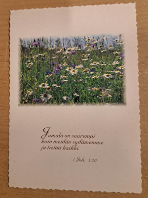kukkaketo, Raamatunlause, kulkenut käsipostissa