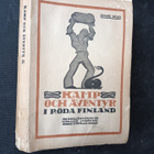 Kamp och äventyr i röda Finland II (1918) - pikkukuva 1