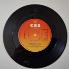 JUHAMATTI - FANNY FANNY 7" Sinkku - pikkukuva 2