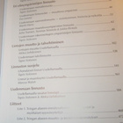 Uudenmaan linnusto - pikkukuva 3