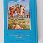 Borislav Arapovic ym. : Illustrated Bible : Bible stories... - pikkukuva 1