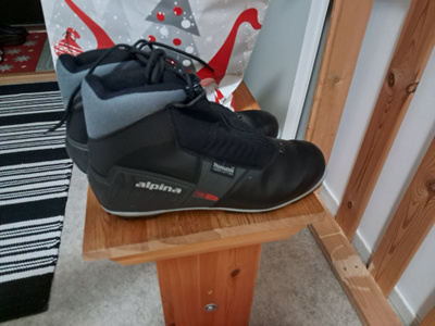 Miesten monot Alpina koko 46