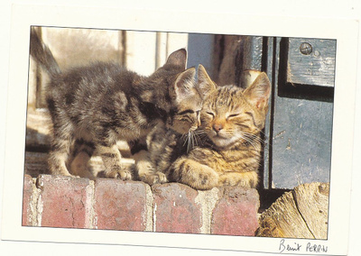 KISSA-kortti