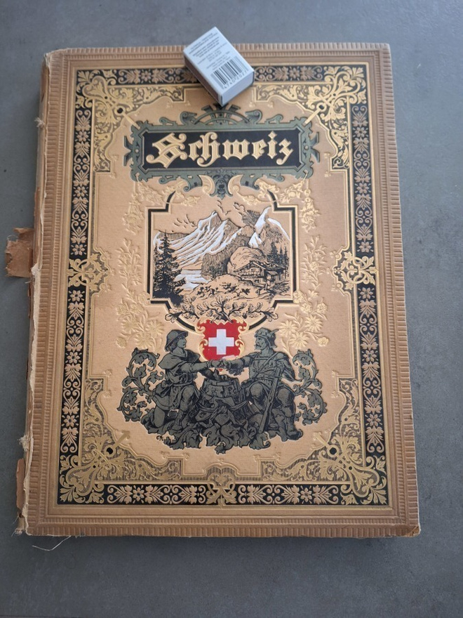 von Friesen: Schweiz (kuv. 1882)