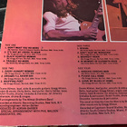 ALLMAN BROTHERS BAND : Beginnings * 2LP* USA 1973 - pikkukuva 2
