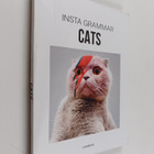 I. Schampaert : Insta Grammar Cats - pikkukuva 1