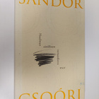 Sandor Csoori : Maailman aistillinen vertauskuva : valiko... - pikkukuva 1