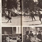 Kotiliesi n:o 15 1965 Sauna. Missä on puutarha, siellä kesä - pikkukuva 2