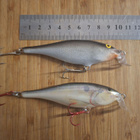 Rapala Shad Rap 9cm Shallow FINLAND - pikkukuva 2