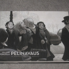 Villimpi Pohjola - Pelinavaus - JP Ahonen (2013) - pikkukuva 1