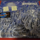 DEATH FORTRESS - TRIUMPH OF THE UNDYING M-/M- LP - pikkukuva 1