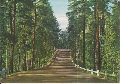 Punkaharju,  b677