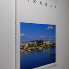 Ilpo Aalto : Mikkeli - pikkukuva 1