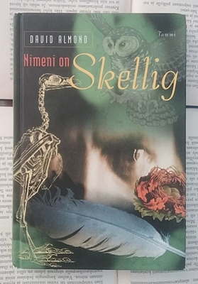 David Almond - Nimeni on Skellig (sid.)