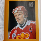 Liigatähdet - Jääkiekon SM-liiga 30 vuotta 1975-2005 - pikkukuva 5