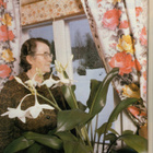 YV n:o 3 1981 Paula & Päivi. Pekka. Aino. Pertti Palo. - pikkukuva 3