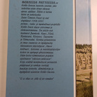 Oekeessa patteessa : perinne ja tapakirja - pikkukuva 2