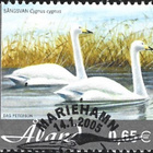 Åland 2005 Tulokaslintuja 0,65 € EP alareuna LOISTO LaPe 245 - pikkukuva 1
