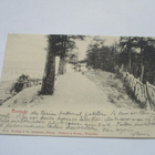 1903 Terijoki 3x 1kop kortti Padasjoelle - pikkukuva 2