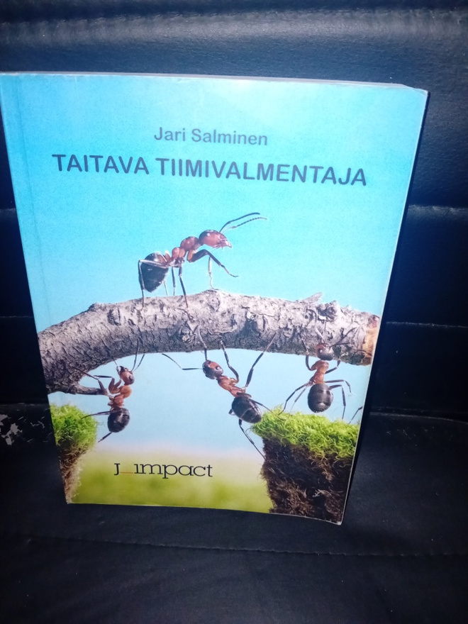 Salminen  : Taitava tiimivalmentaja ( SIS POSTIKULU  )