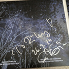 Erja Lyytinen - The Sky Is Crying (CD) MINT!! - pikkukuva 2
