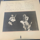 Ronnie Lane: Ronnie Lane’s Slim Chance 1975 LP - pikkukuva 2