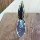 Daiwa SC. Shiner  5cm - pikkukuva 3