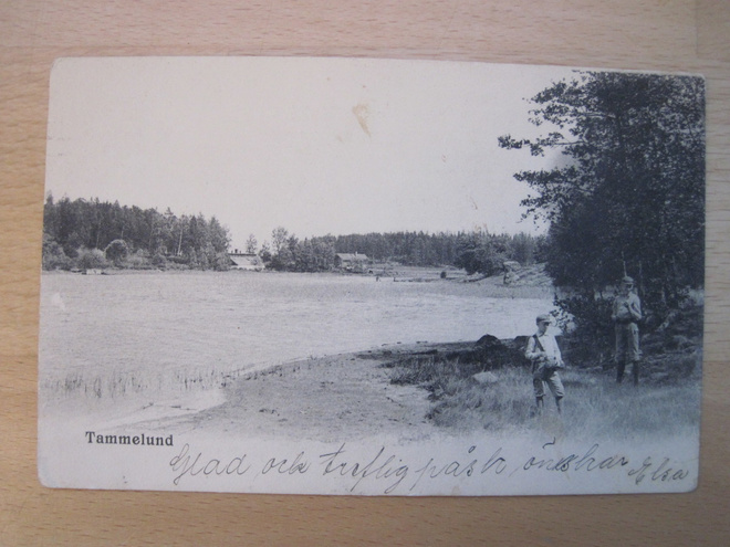 VANHA Postikortti Helsinki Tammisalo ennen 1905