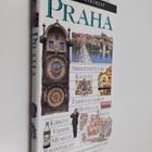 Vladimir (pääavustaja) Soukup : Praha - pikkukuva 1