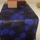 Tapetti BIRGER KAIPIAINEN KELLOLINNUT, Sininen - pikkukuva 1