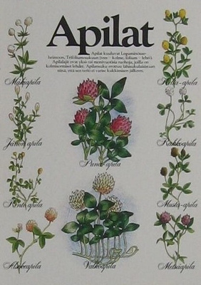 Apila postikortti