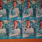 2023-24 Pelicans Team Issue 2€ kpl tai kaikki 30€ - pikkukuva 2