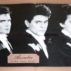 ARCADIA  ::  ELECTION DAY  ::  VINYYLI  MAXI 12"    UK 1985 - pikkukuva 5