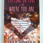 Jeff Foster : Falling in Love with Where You Are - A Year... - pikkukuva 1