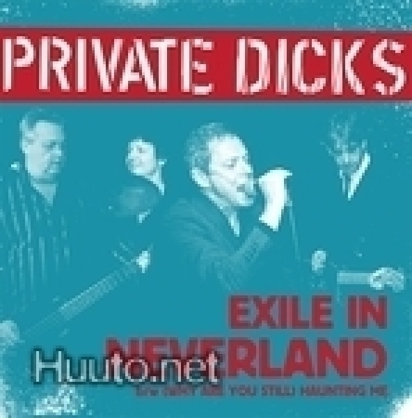 PRIVATE DICKS exile in neverland 45 -1970`s- uk kbd