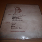 ACROSTICHON - Engraved In Black LP - Doomentia 2013 - pikkukuva 2