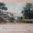 Hanko, Kylpyläpuisto, vossikka rannalla, vanha väripk p 1907 - pikkukuva 1
