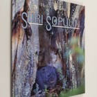 Heikki Willamo : Siiri Sopulin syksy - pikkukuva 1