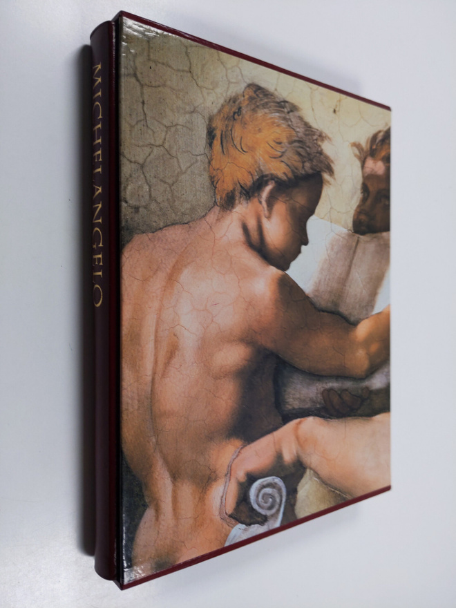 Pierluigi De Vecchi : Michelangelo : Vatikaanin freskot (...