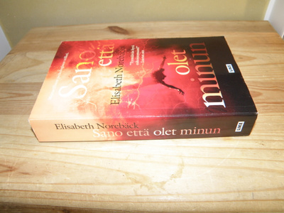 Elisabeth Norebäck Sano että olet minun (nidottu)
