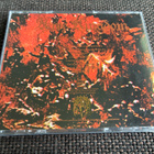 Ares Kingdom ”Return To Dust” CD 2006 - pikkukuva 3